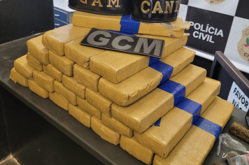 Guarda Municipal apreende mais de 26 tijolos de maconha em residência no Jardim Bela Vista