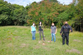 Plantio de mudas de árvores nativas marcam o início das comemorações ao Dia da Biodiversidade 