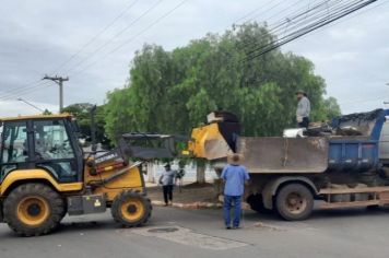 Mutirão contra a Dengue, em Itapetininga, estará no Jardim Leonel e nas vilas Palmeira, Sônia e Regina, nos próximos dias 27 a 28 de abril