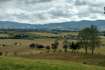 ITR 2025: Prazo para entrega da declaração segue até setembro