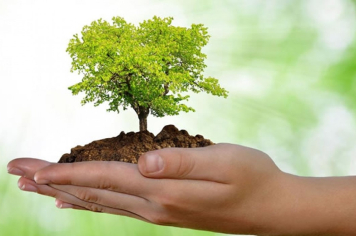 Dia Mundial do Meio Ambiente é celebrado em Itapetininga em semana com programação especial