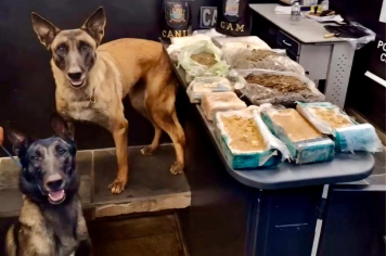 Guarda Municipal de Itapetininga localiza 12 kg de drogas enterradas no Jardim São Camilo