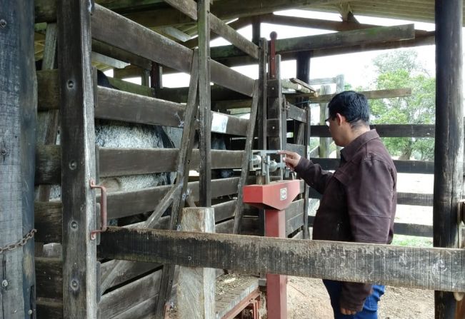  Mais de 100 propriedades rurais receberam orientação e capacitação por meio de visitas técnicas da prefeitura