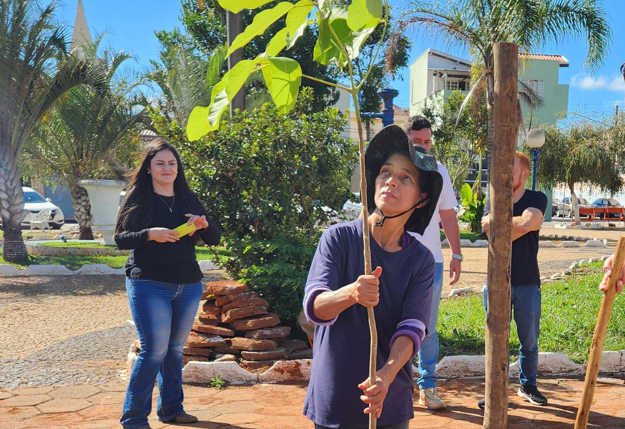 Prefeitura de Itapetininga realiza plantio de novas árvores na Praça do Rosário