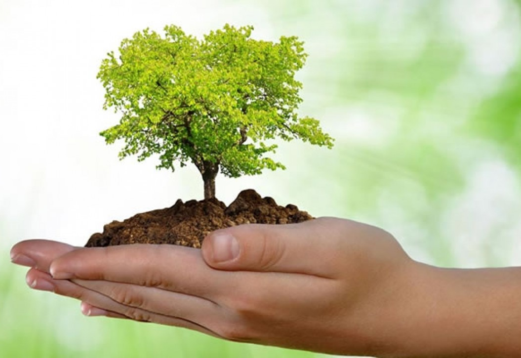 Dia Mundial do Meio Ambiente é celebrado em Itapetininga em semana com programação especial