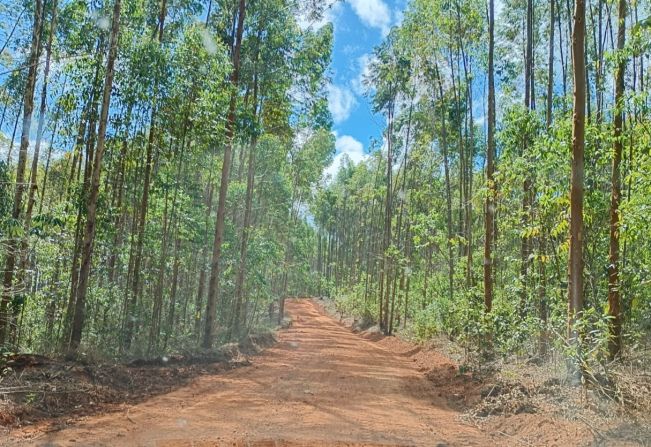 Bairro Viracopos tem obras de nivelamento de estradas realizadas